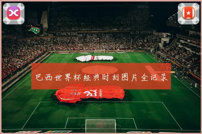 巴西世界杯经典时刻图片全记录