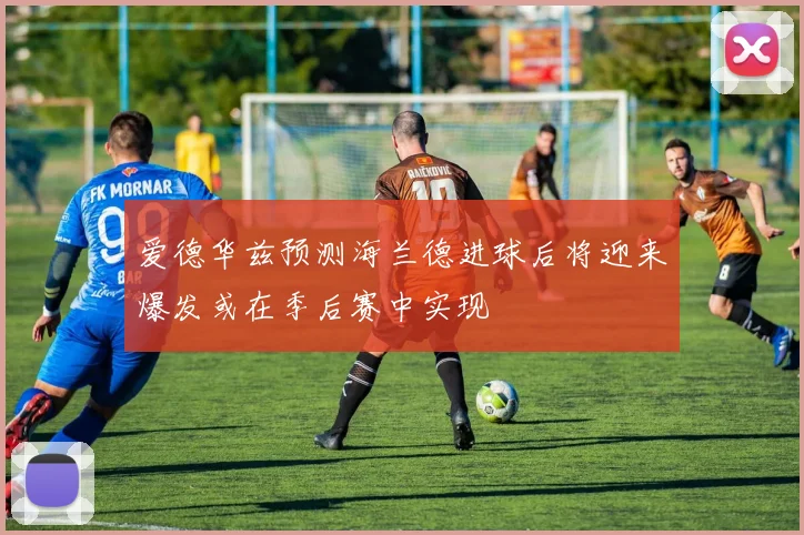 爱德华兹预测海兰德进球后将迎来爆发或在季后赛中实现